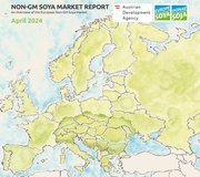 Market-Report-April-2024_cover