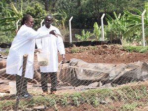 Insect meal tested in East Africa fish farms