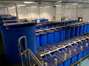 ADM opens aquaculture innovation lab in North America