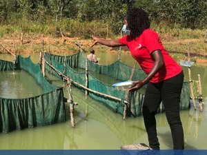 A review of aquafeed value chain in Zambia and Malawi