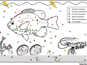 The Pathobiome - a new understanding of disease