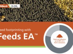 Alltech introduces new model to measure feed carbon footprint