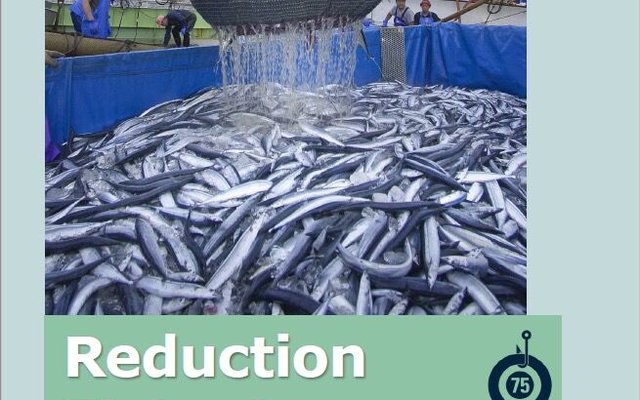 SFP 2021 Reduction Fisheries Report: Has a decade of improvements hit a plateau?