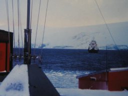 Is the Antarctic krill fishery doomed to fail?