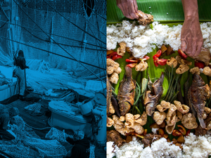 Thai Union remains leader in Seafood Stewardship Index