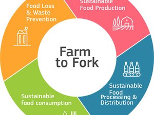 FEFAC concerns on the new EU strategy for sustainable food systems