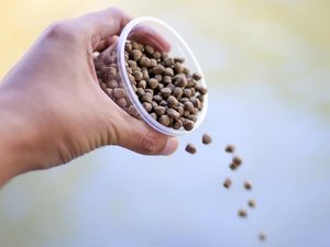 BAP releases new feed mill standard