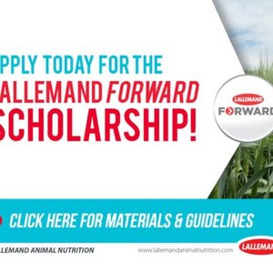 Lallemand accepting applications for Forward scholarship