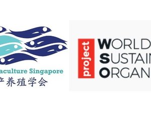 Singapore partners to promote sustainable aquaculture