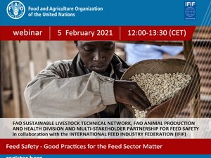 Join IFIF/FAO webinar on good practices for the feed sector