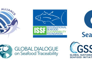 Seafood metacoalition calls for action to combat illegal fishing