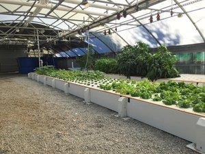 Namibia to build one of Africas largest aquaponics farms