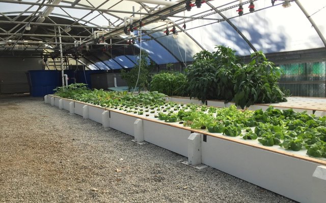 Namibia to build one of Africas largest aquaponics farms