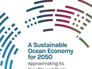 Sustainable aquaculture to secure ocean health and wealth
