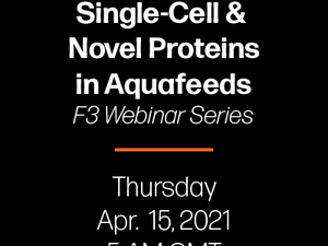 Join F3 webinar on single-cell and novel proteins in aquafeeds