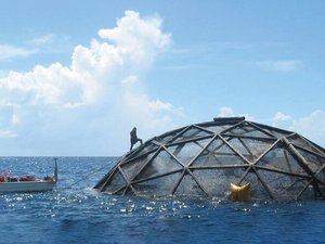 Bipartisan aquaculture bill gives hope to U.S. aquaculture