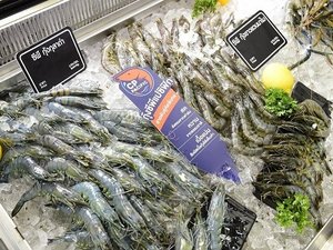 CP Foods joins forces for sustainable seafood supply chain in Thailand