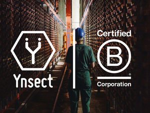 New certification for nsect with new social and environmental commitments