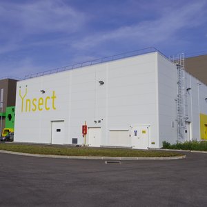 nsect accelerates its international expansion