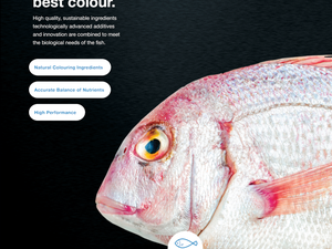 Aquasoja develops feed for a colorful red porgy