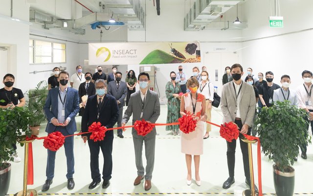 INSEACT opens Singapores largest insect protein facilities