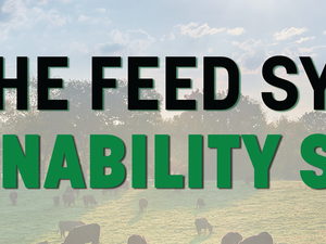 IFEEDER, WWF to host Feed Systems Sustainability Summit