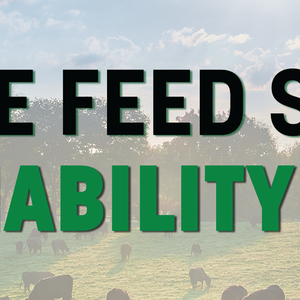 IFEEDER, WWF to host Feed Systems Sustainability Summit