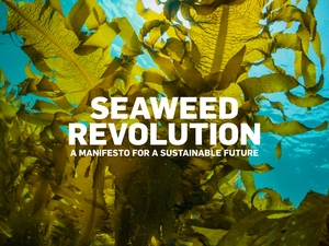 Seaweed manifesto for a sustainable development of the industry