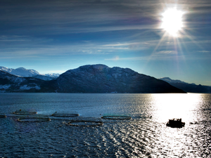 Norway unveils new aquaculture strategy for sustainable growth