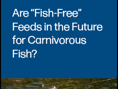 Join F3 webinar on emerging trends in alternative feeds for carnivorous fish