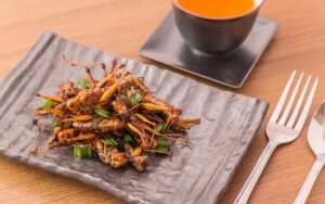 Adisseo and Entobel join forces on alternative insect protein development