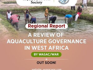 Sponsorship opportunities for a new report on aquaculture in West Africa