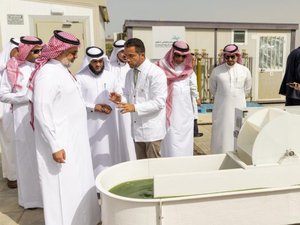 Saudi Arabia to establish algal industry for aquafeeds