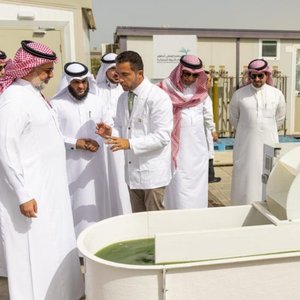 Saudi Arabia to establish algal industry for aquafeeds