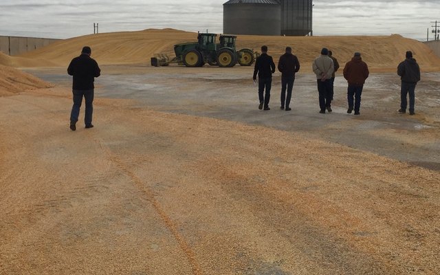 Egyptian feed producer introduces DDGS-based aquafeed supported by U.S. Grains Council