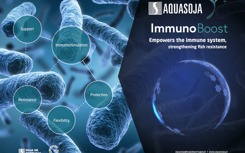 Aquasoja strengthens the immune system of fish with a new diet