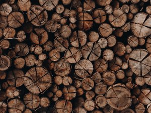 Wood-to-feed protein shows lowest impact on climate change compared to other proteins