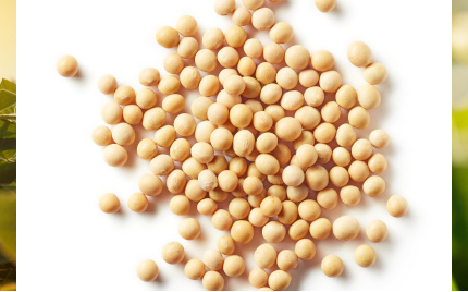 Join F3s webinar on soy ingredients in aquafeeds