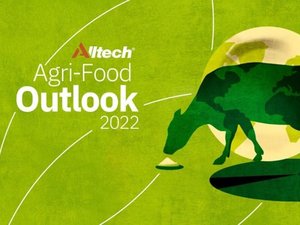 Global feed production increases 2.3% in 2021