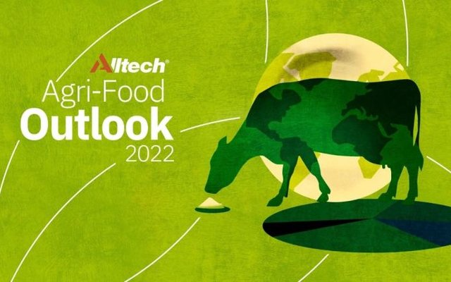 Global feed production increases 2.3% in 2021