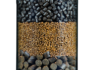 Aquasoja extruded pellets to meet the species-specific demands