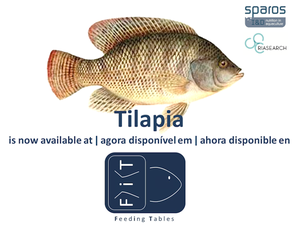 Sparos introduces feeding tables for tilapia