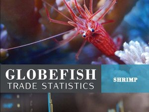Globefish trade statistics