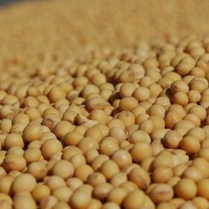 Nutritional and economic differences in soybean meal from different countries