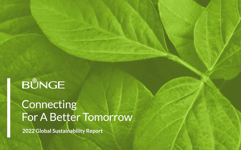 Bunge surpasses non-deforestation and sustainability targets in indirect supply chains in South America