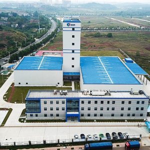 DSM opens seventh premix plant in China
