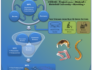 EU project to produce novel aquafeed ingredients from side streams