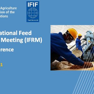 IFIF, FAO meeting discuss critical issues facing the feed industry