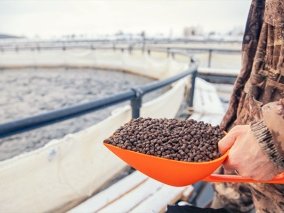 New version of GLOBALG.A.P. feed manufacturing standard tightens sustainability requirements