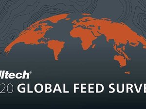 Global aquafeed production shows continuous growth as livestock feeds show first drop in nine years
